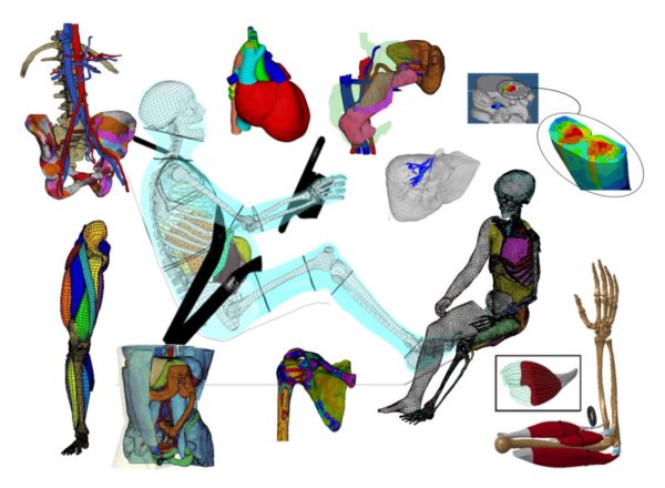 Etude de la biomécanique du corps humain