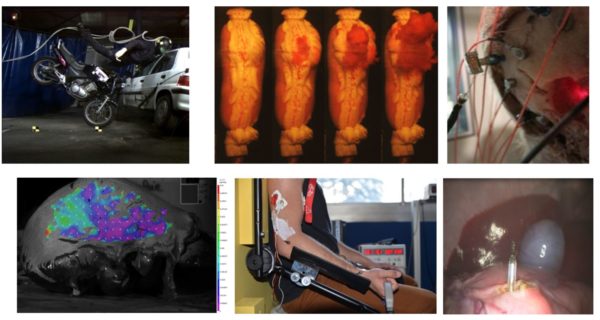 Etude et reproduction des propriétés biomécaniques de l'humain