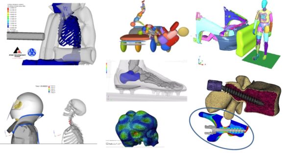 Simulations biomécaniques